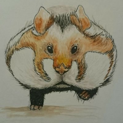 Captain_Cheeks0's profile picture. 