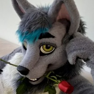 Wolf part Mongoose, Free Spirit, Art-whore, Youtube/Twitch guy, (s)ex- Model, Pro Athlete. Open w/ ❤@purplem8n ❤  
 On/ly Fa/ns: https://t.co/VCgcqpGd7N