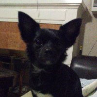 Jacqueline Savin (@jacquelinesavin) 's Twitter Profile