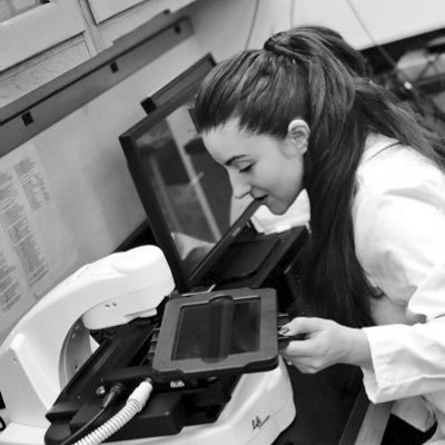 Rosela_Golloshi's profile picture. 