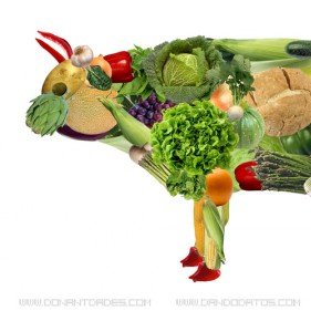 nellyguiluminun's profile picture. con estas recetas te vas a sanar cuerpo , mente y espíritu 🐭