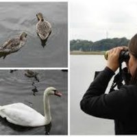 ❤小鳥大好き女子❗️ (@birdwatch_ladys) 's Twitter Profile Photo ❤小鳥大好き女子❗️ (@birdwatch_ladys) 's Twitter Profile Photo