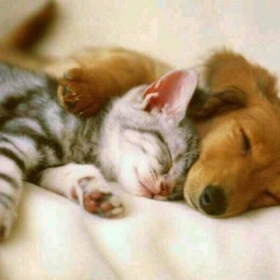 bestswifter1995's profile picture. 我是 bestswifter