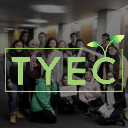 TYEC Profile