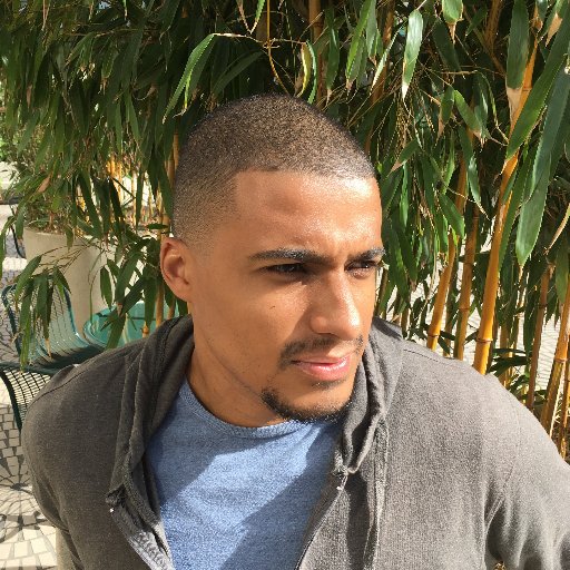 OJeromeStew_PhD's profile picture. scholar and educator