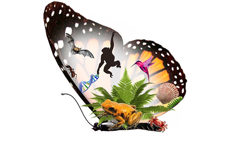 biologoscba's profile picture. Espacio para compartir y conectarnos 💚🌱🍄🐒
Comparti info importante con tus colegas: 
Material de estudio. Eventos. Clases. Artículos y mucho mas!