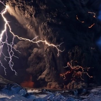 LammaLamma9's profile picture. 