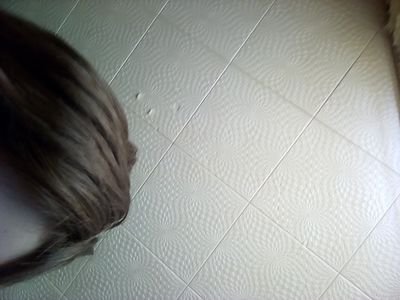 yxa_Cyffb's profile picture. 