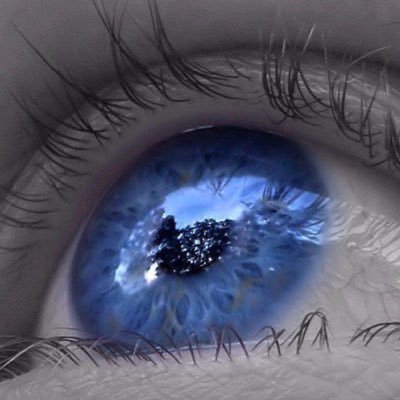 _sarkozy's profile picture. 