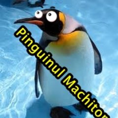 Pinguinul machitor - Informatie si actualitate