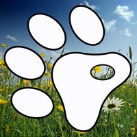 Paws 🐾(@pawsleeds) 's Twitter Profile Photo