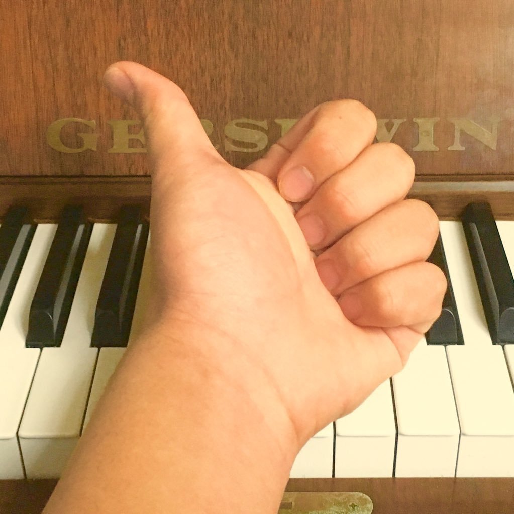 ワタリドリ ピアノ Article ワタリドリ ピアノ Article