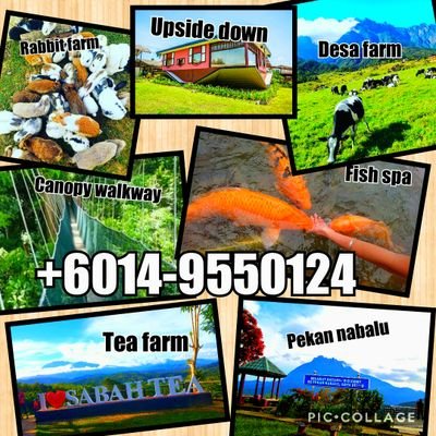 pakej percutian murah bajet kundasang trip sabah