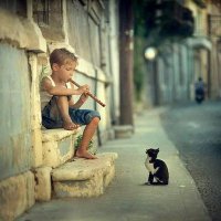 Hossam Amgad (@hossamamgad331) 's Twitter Profile Photo