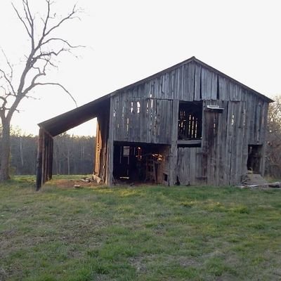 jobschildren's profile picture. Genealogist & Historian. GSD & Aussie Mom. Biker Chick. Member Waccamaw tribe.  Lumbee Conservative Democrat leaning Independant.