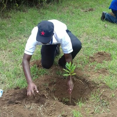 lisegevinnie's profile picture. Sports