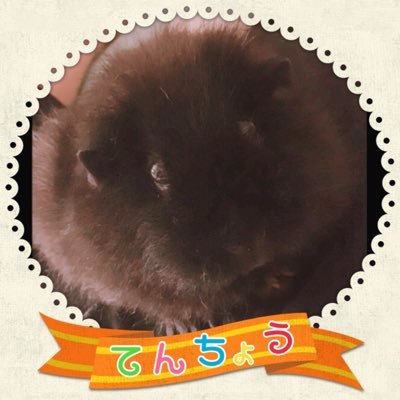 アニソンカラオケバーもるもっとさんのプロフィール画像