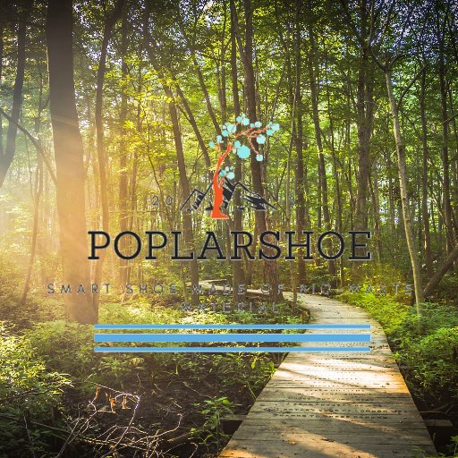 PoplarShoe's profile picture. 🌲👟🌲👟🌲👟