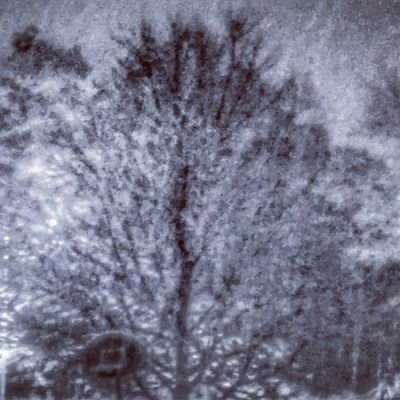 Gr8Lakr's profile picture. Lover of writing, reading, music, food, mountains, race tracks, and the beach. Writer of erotica.