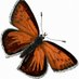 Adelaide Heathfield (@laideyheathfld) Twitter profile photo Adelaide Heathfield (@laideyheathfld) Twitter profile photo