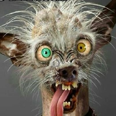 Florida Freethinker, Doesn't Obey Well.
Volunteer of America, Sometimes Obscene. All Lives Matter 🌎 ✌
#FBR #PRU