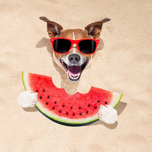 DaShun_JS's profile picture. Data visualization. Web developer