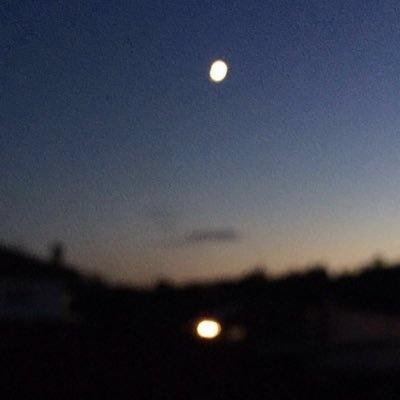 AmieDuSoir's profile picture. 