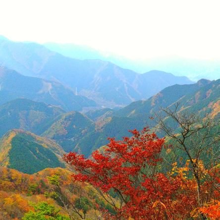 東京都立大泉高校山岳部です。日々の山行を投稿していきます。毎日部員募集中!山に登ったことがなくても、男子も女子もだれでも大歓迎!
是非フォローしてください✌
私達と共に青春を謳歌しましょう!
Instagramもやっています!
→ohizumi_sangaku
