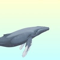 seathebiggerpicture (@whereintheworl8) 's Twitter Profile