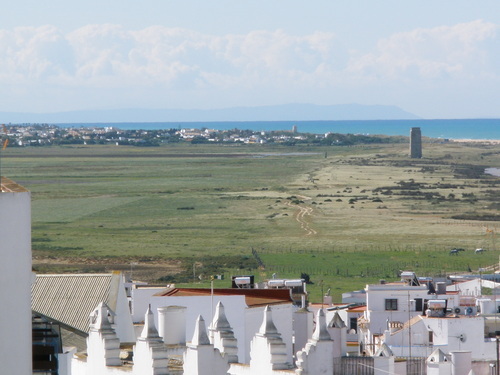 salvarelpalmar's profile picture. Si por algo se caracteriza la Costa gaditana,es por atraer a un turismo alternativo y diferente del resto del litoral. plataformasalvarelpalmar@gmail.com