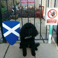 Wee L #Freedom 🏴󠁧󠁢󠁳󠁣󠁴󠁿🏴󠁧󠁢󠁳󠁣󠁴󠁿(@l_ronaldson) 's Twitter Profile Photo