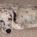 David Munroe - @highflyer260 - Twitter