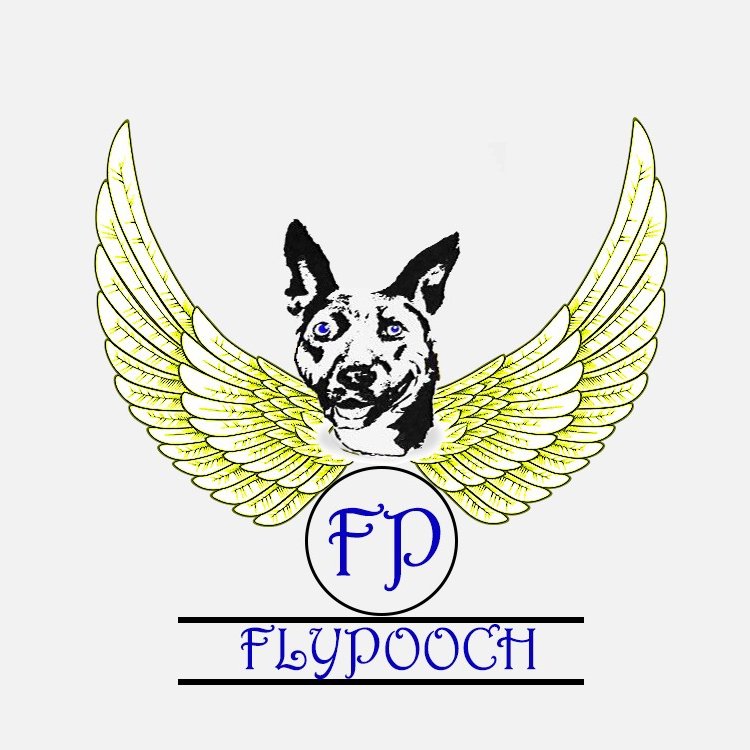 Fly Pooch is an online dog store concept that began in 2014. Inspired by my personal pet dog, ideas formulated and grew. Fly Pooch will touch lives of many!