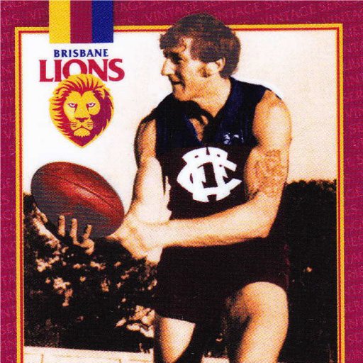 Brisbane Lions / Fitzroy Football Club supporter