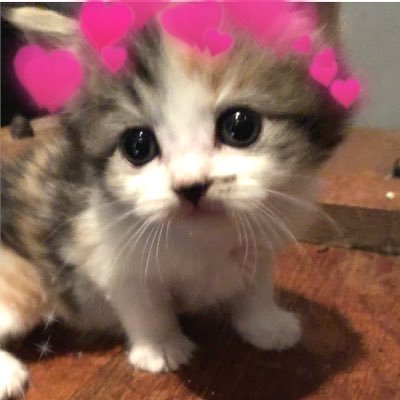 Zeta714's profile picture. 💗💗💗