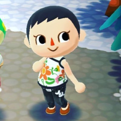 のりねこさんのプロフィール画像