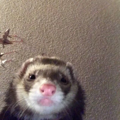 Stipe96's profile picture. 