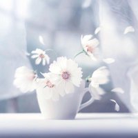 ゆき (@kitako_yuki) 's Twitter Profile Photo ゆき (@kitako_yuki) 's Twitter Profile Photo