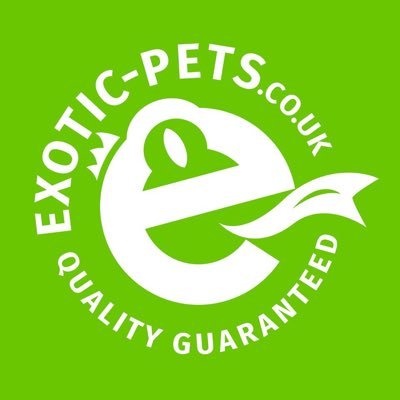 Amphibian, Reptile and Invert UK based online exotic pet shop!