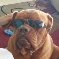 Kelly Fam (@hkellyiv) 's Twitter Profile Photo Kelly Fam (@hkellyiv) 's Twitter Profile Photo