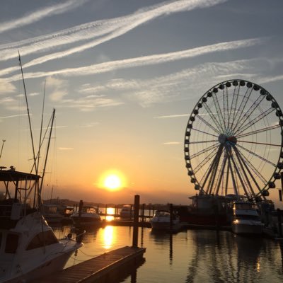 dod0_1992's profile picture. Information System ....