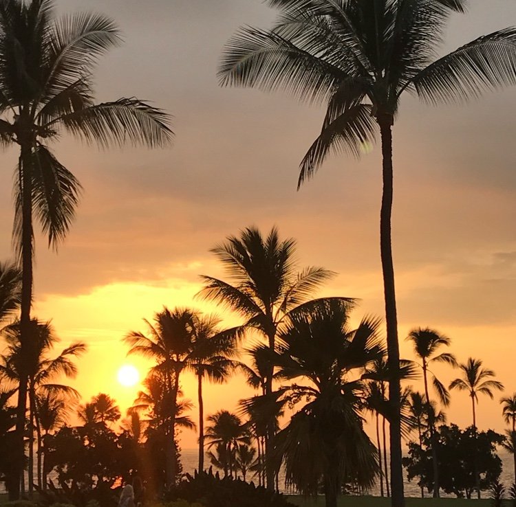 mar_mmkk's profile picture. sq/遊びにも全力/美術館/スノボ/サッカー/煎茶/絵/料理