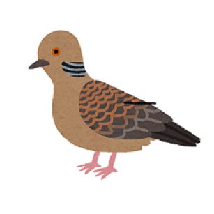 雉鳩さんのプロフィール画像