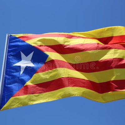 Dona, mare i independentiste, lluitaré per la Republica fins al meu últim alè Donec Perficiam