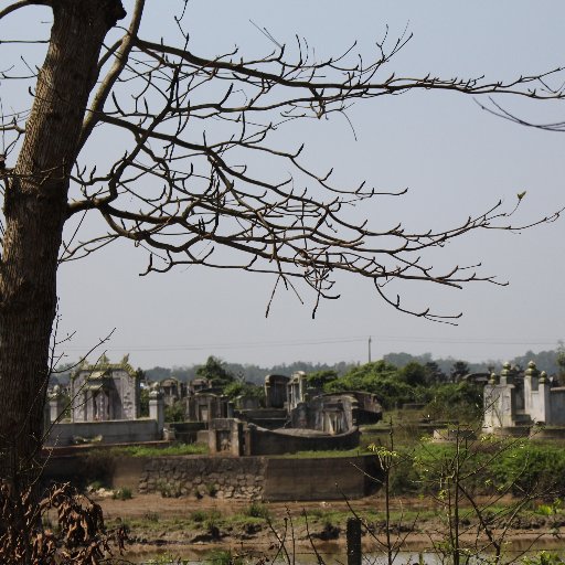 hoangngoclu's profile picture. Hoàng