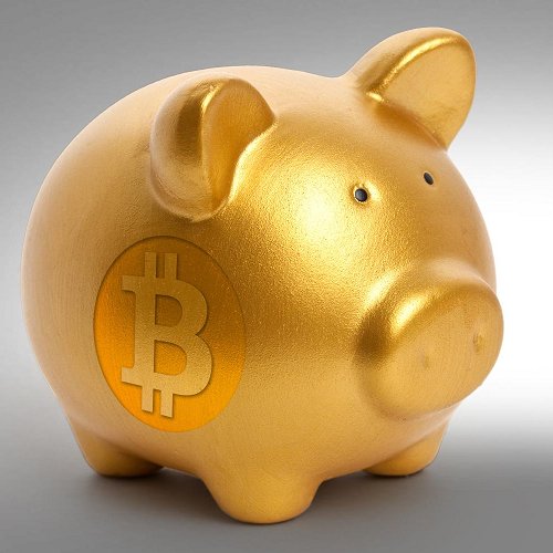 Bitcoin_magnat Profile Picture