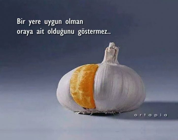 farkedilen4's profile picture. Seksi seven,hayattan zevk almasini bilen biri...handsome and strong ...lovely friendly