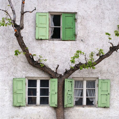 QuanRongjie's profile picture. 