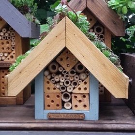 Bee, Bug & Bird Houses by London artist / craftsman / carpenter / handyman / gardener / greenroof plantsman *UK Delivery📦 * Briggs_Bughouses@yahoo.co.uk 🐝🐞🐛