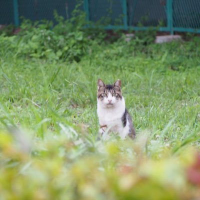 kennnnn0513's profile picture. ハウスメーカーでインテリアコーディネーターしてます。